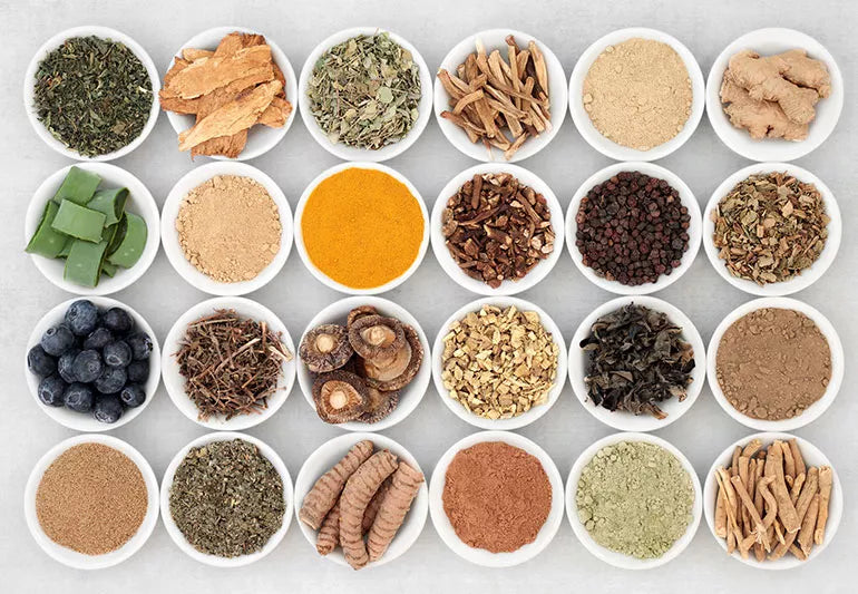 what are adaptogens?