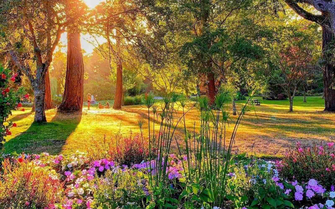 battling anxiety victoria bc